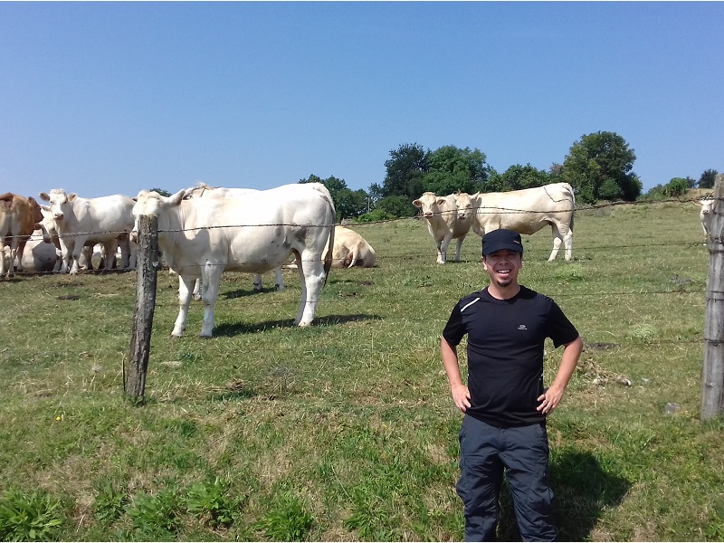 Hiking in Metz with Sébastien Mercier, Oana Cazacu and some cows